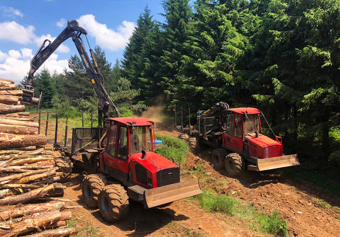 2 porteurs forestiers chargent des grumes de bois